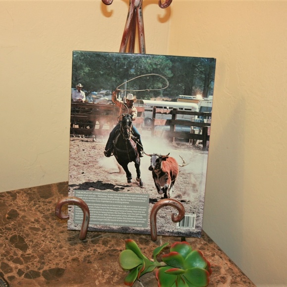 The World of Show Horses book - Picture 2 of 4